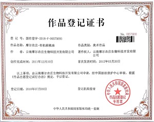 摩尔农庄-有机核桃油