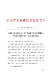 云南省工业和信息化厅关于公布第二批云南省制造业单项冠军示范（培育）企业名单的通知