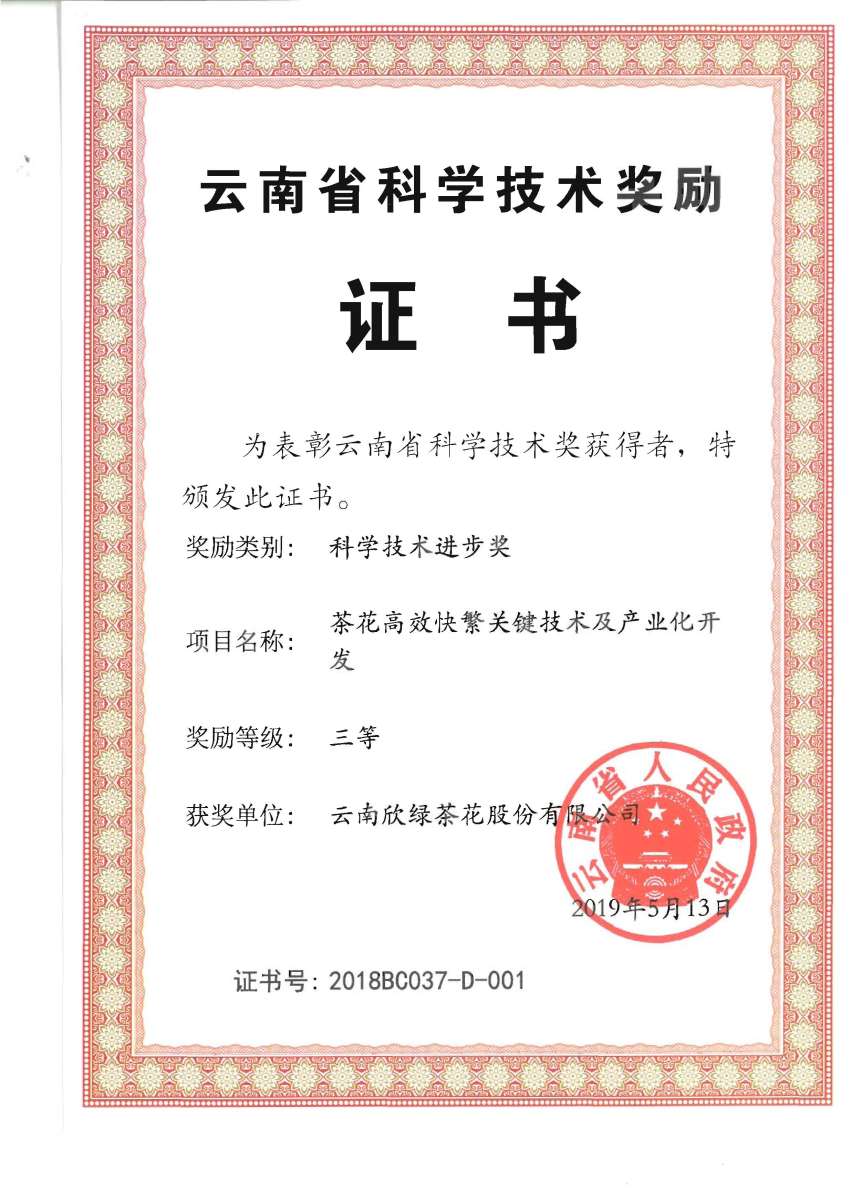 云南省科学技术奖励证书
