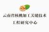 云南省核桃加工关键技术工程研究中心